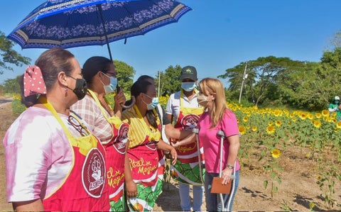 La ruta del girasol