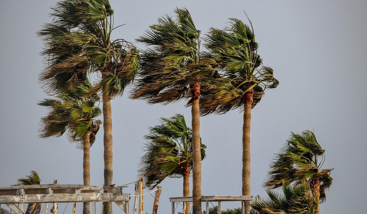Tormenta tropical