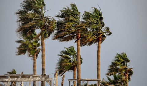 Tormenta tropical