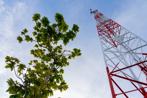 MinTIC estabilizará servicios de telecomunicaciones en Amazonas