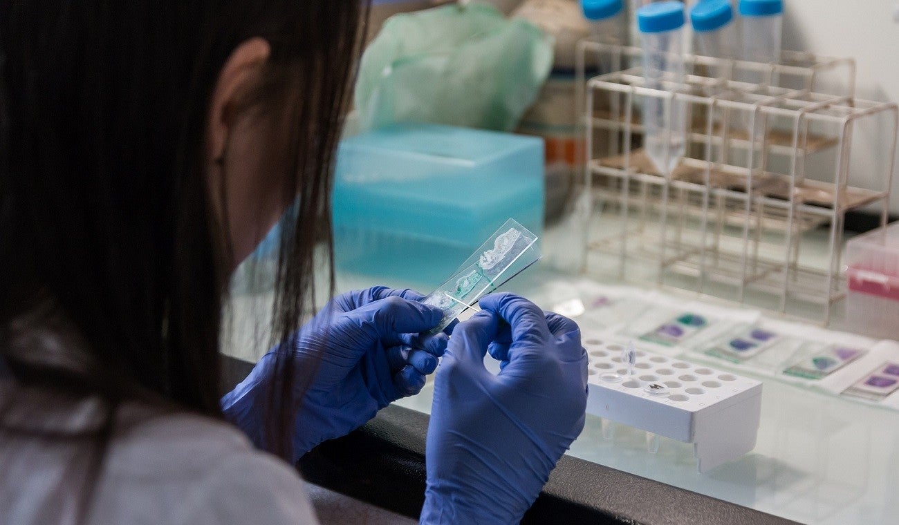 Laboratorio
