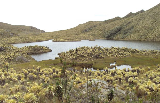 Páramo del Sol