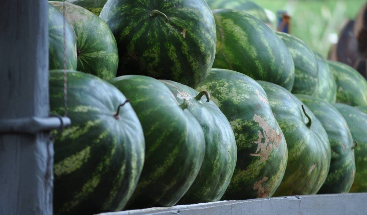 Sandias como forma de pago de vivienda