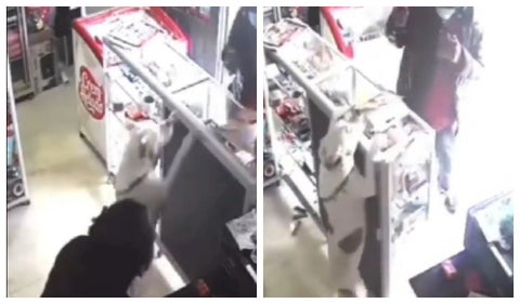 Video de la perrita que logró evitar un robo a mano armada en Huila