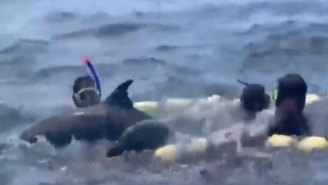Pesca ilegal, Bahía Solano
