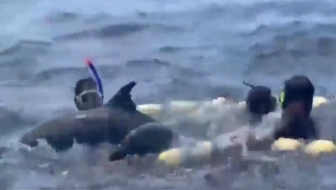 Pesca ilegal, Bahía Solano