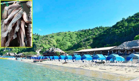Estafan a turistas en Playa Blanca con precio de mojarras