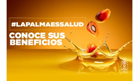 Aceite de palma colombiano: beneficios de su consumo