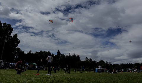 Festival de Verano en Bogotá