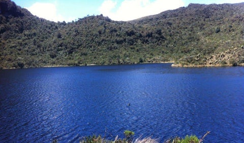 Laguna Juan Tama Mosoco Paez