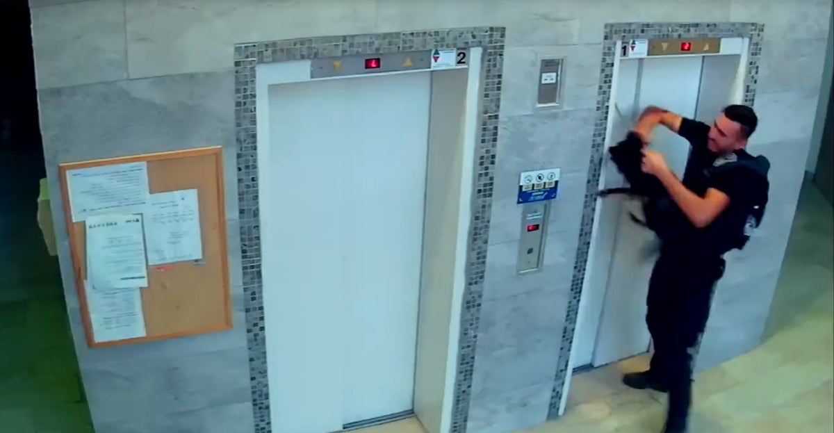 Perro salvado en ascensor