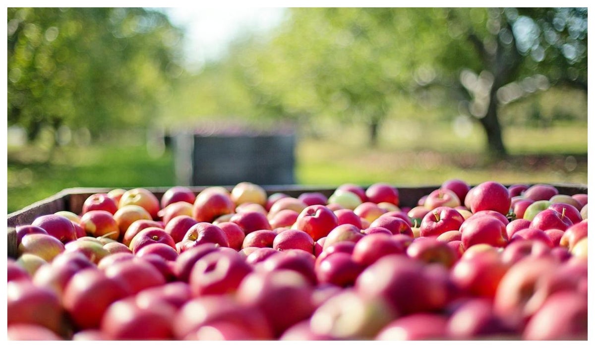 Platos típicos de la región andina que piden los extranjeros