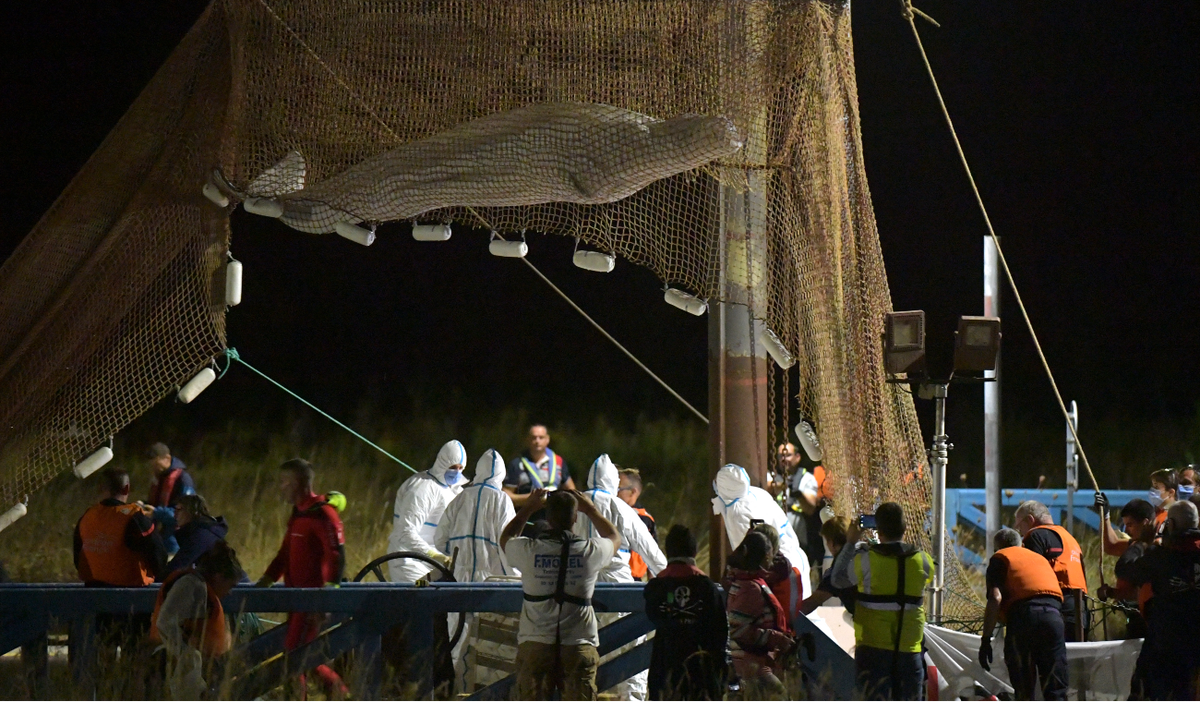 Rescatan a una ballena beluga varada en el río Sena