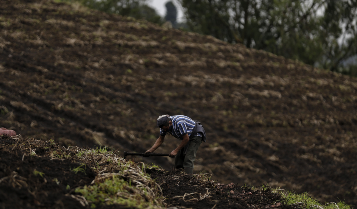 Agricultura