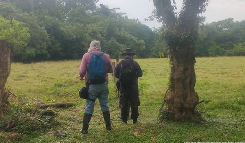 Bienes Autodefensas Unidas de Colombia