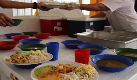 Plan de alimentación