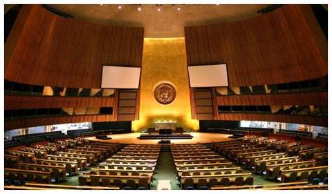Asamblea General de la ONU