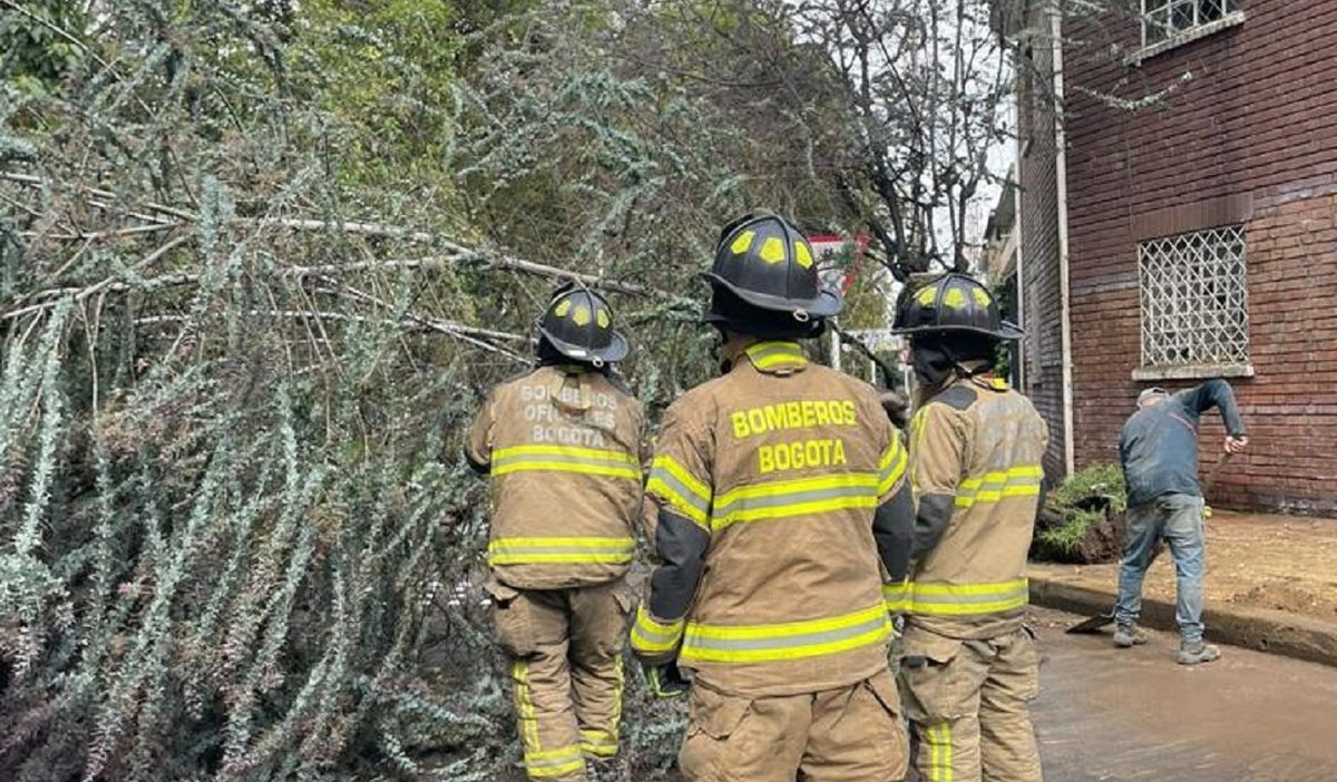 Caída de de árboles en Chapinero