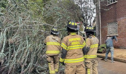 Caída de de árboles en Chapinero