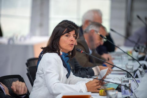 Irene Vélez