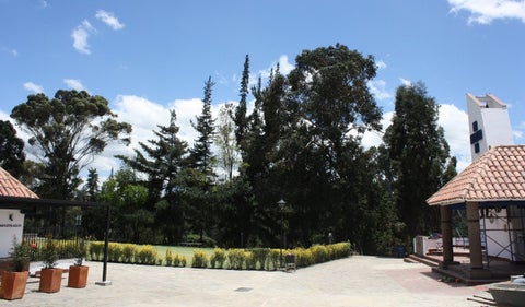 Jardines del Apogeo