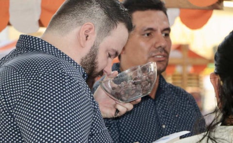 Meta, con el cacao de mejor calidad en Colombia