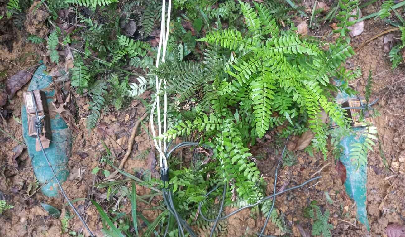 Bombas de mortero en Tibú