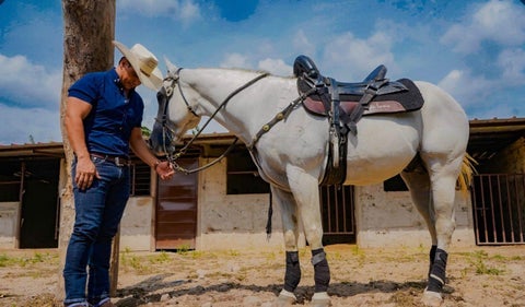 Pasaporte, caballo de Alirio Barrera