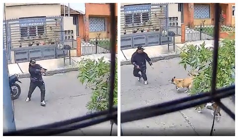 Perritas callejeras evitan que hombre sea robado por sujeto armado