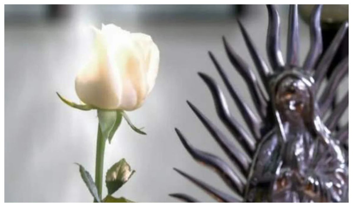 Flor de la novela de Rosa de Guadalupe