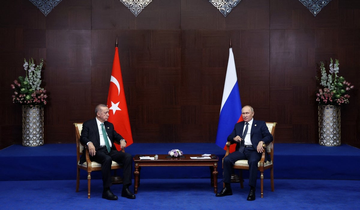 Tayyip Erdogan y Vladímir Putin