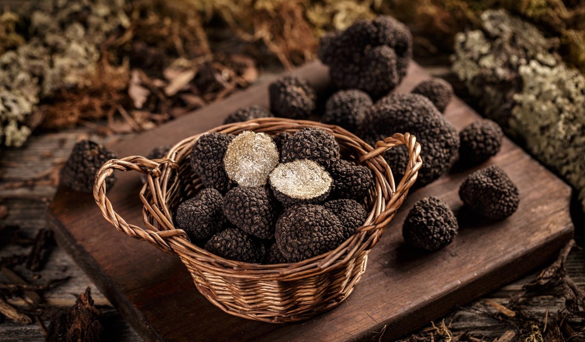 Trufas (tuber): ¿Por qué es tan difícil conseguirlas