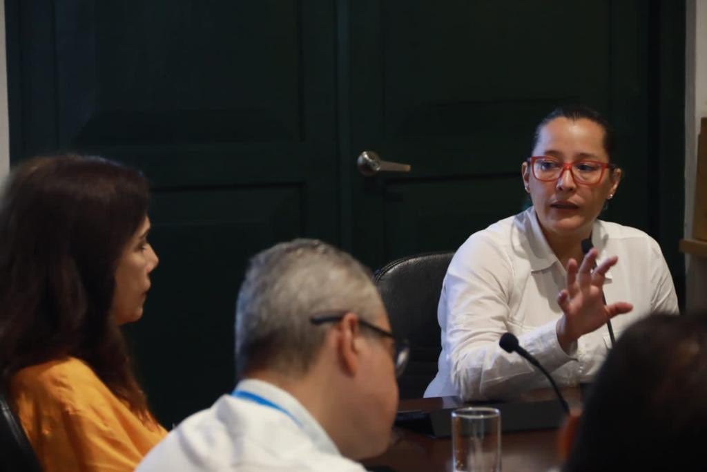 Viceministra de Energía, Belizza Ruiz