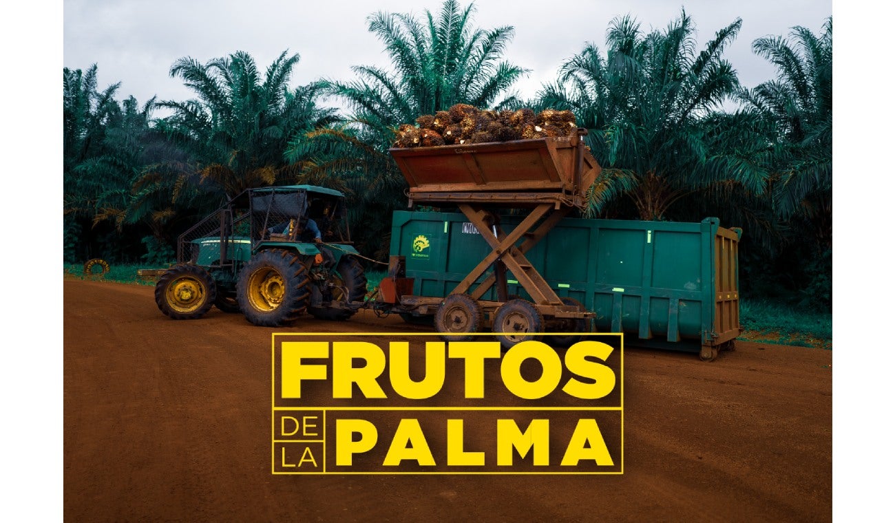Aceite de palma 100% colombiano