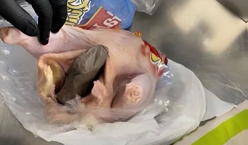 Pistola en una gallina