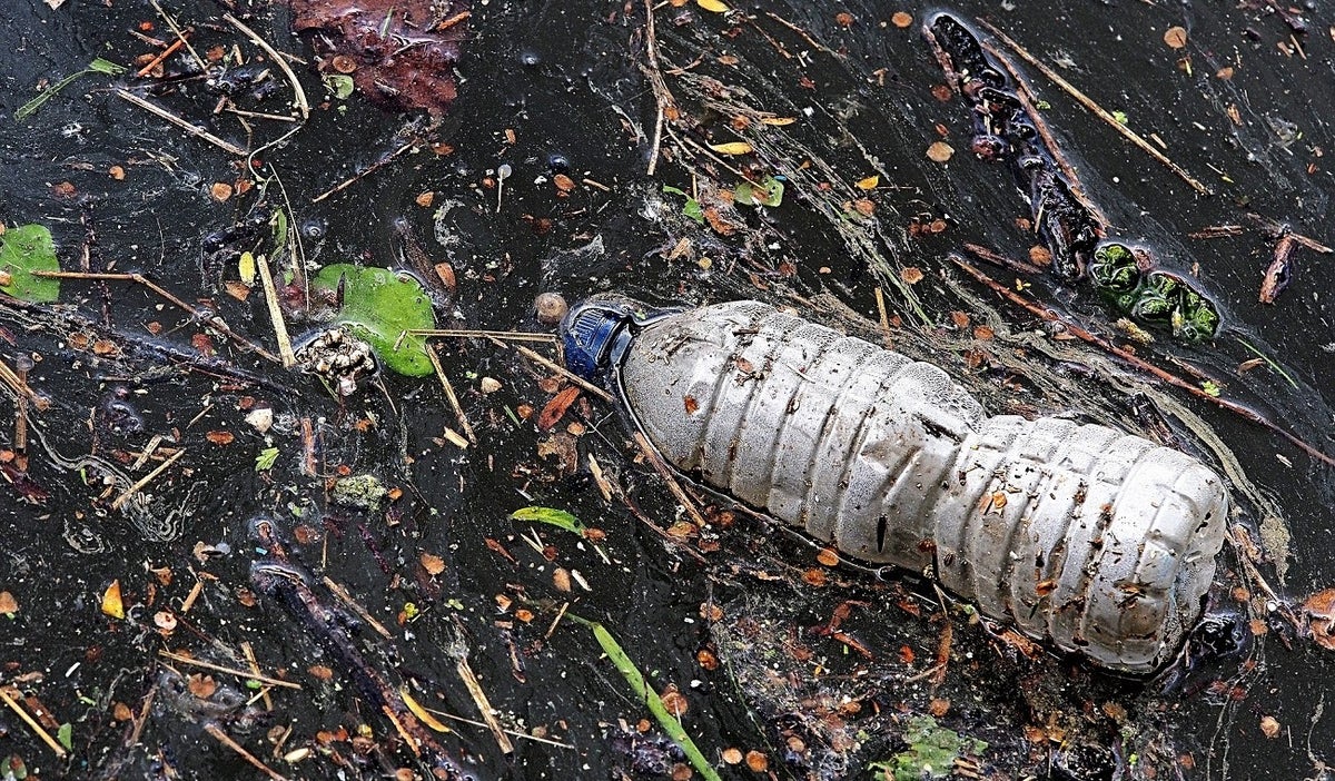 Plástico agua