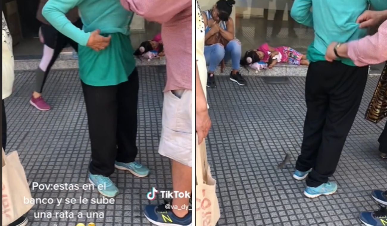 Ratón estaba entre la ropa de la mujer