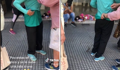 Ratón estaba entre la ropa de la mujer