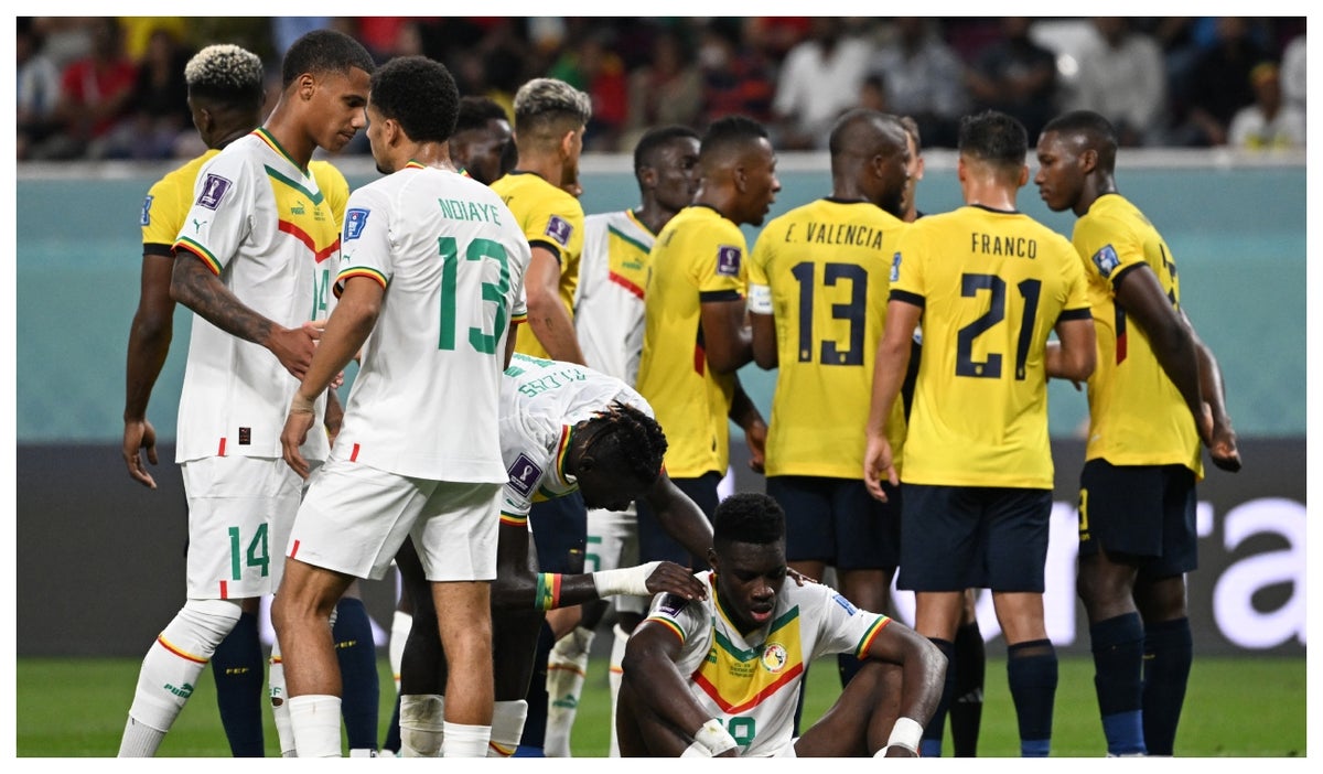 Senegal vs Ecuador