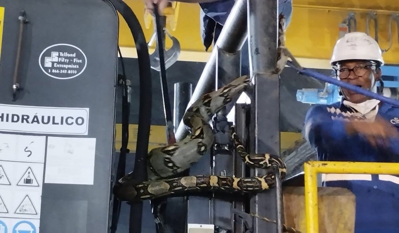 Serpiente casa de máquinas Hidroituango