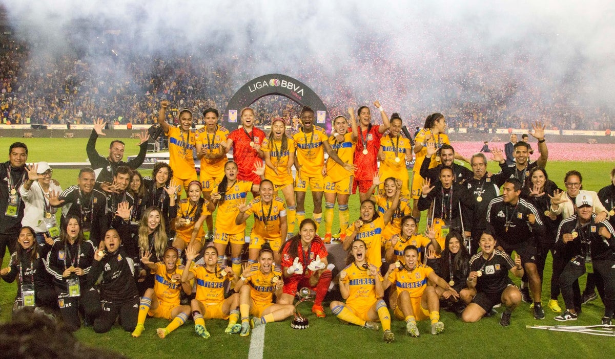 Tigres femenil