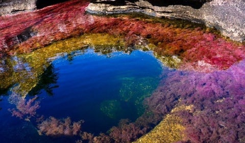 Caño Cristales