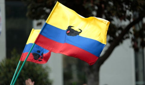 Qué hace falta para que se prohíban las corridas de toros en el país