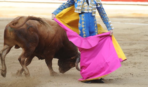 Proyecto que prohíbe corridas de toros está a un paso de ser ley