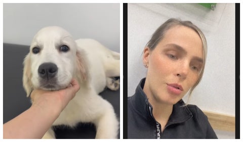 Elizabeth Loaiza y muerte de perrito