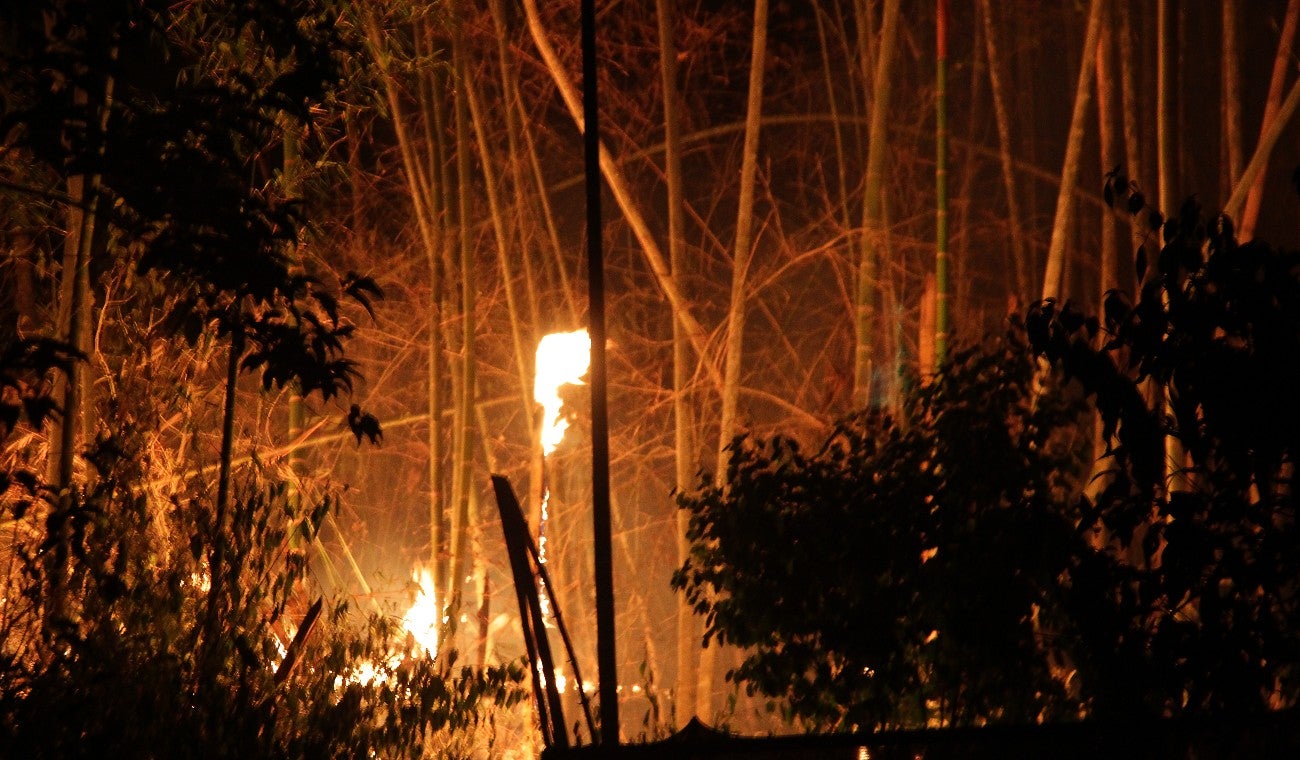 Incendio forestal