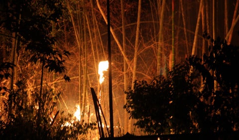 Incendio forestal