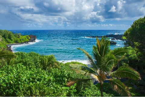 vista de la hermosa playa Maui