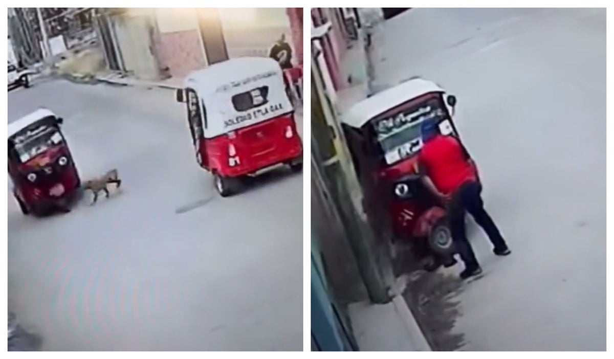 Motociclista se estrella por un perrito