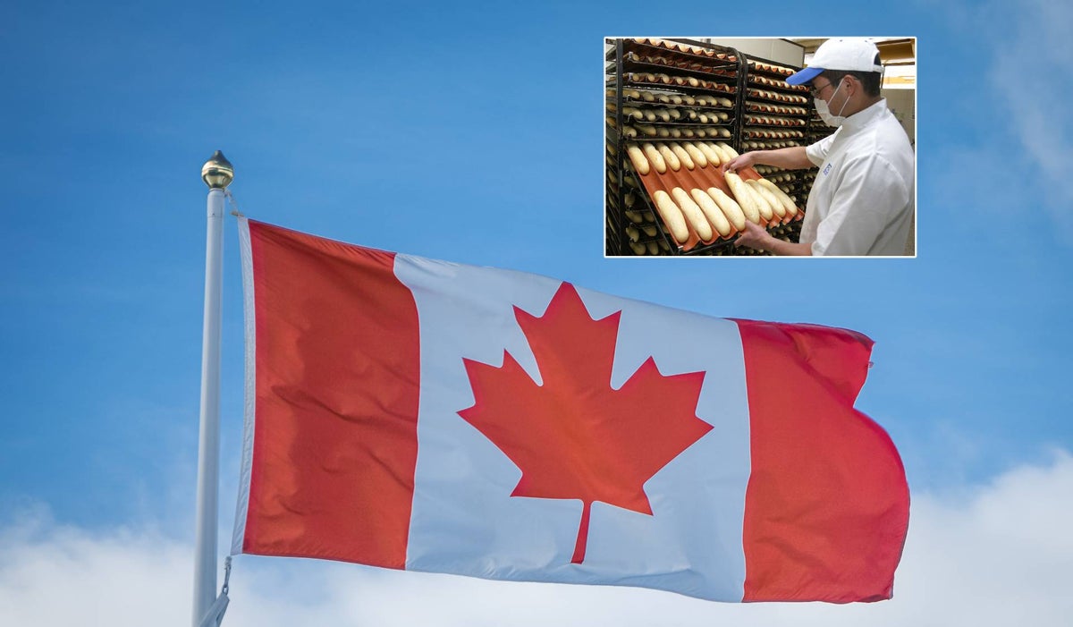 Canadá solicita colombianos panaderos para trabajar en este país